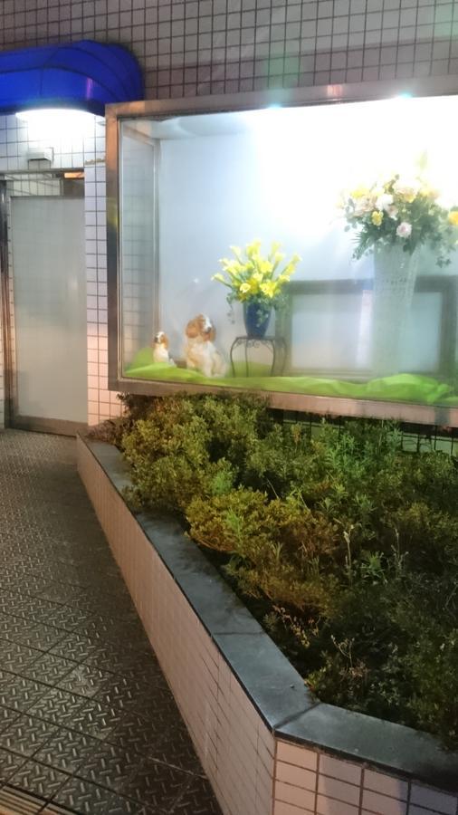 Hotel Loire (Adults Only) Osaka Exterior foto